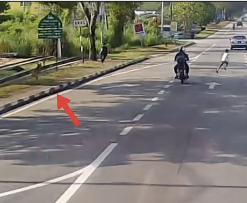 M'sian child's head nearly gets crushed while being chased by a stray dog | weirdkaya