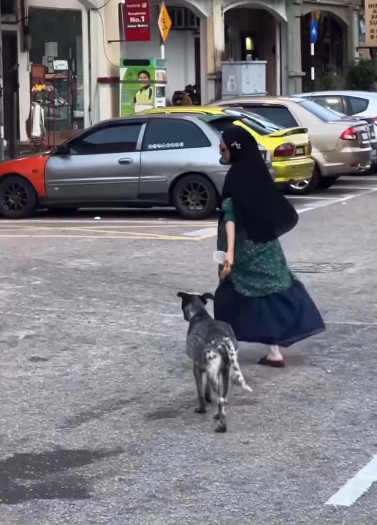 Stray dog follows makcik to the roadside
