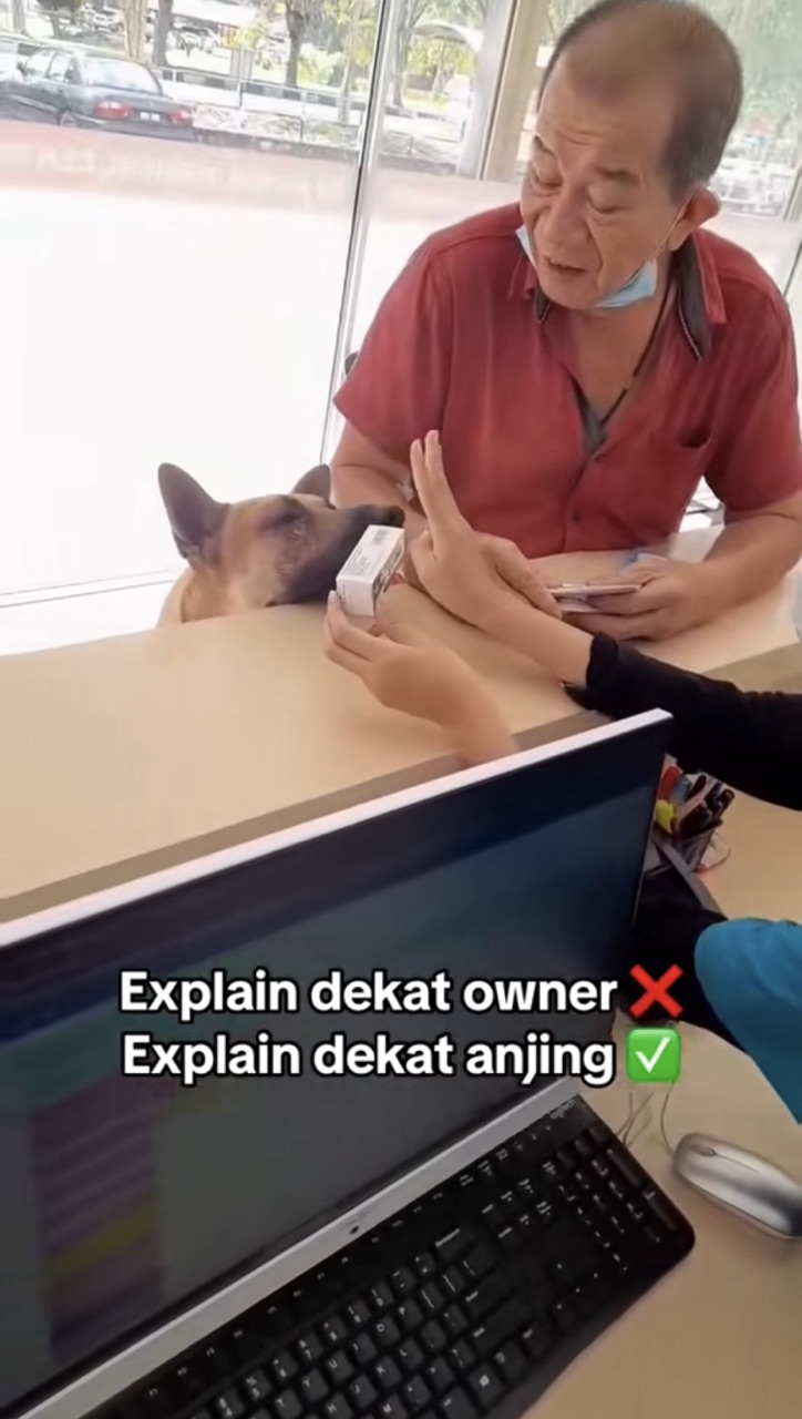 M’sian nurse tries explaining to dog how to take its meds & it's the funniest thing ever | weirdkaya