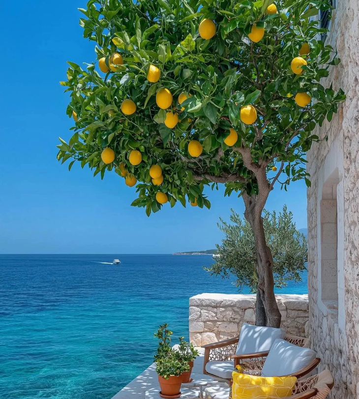 Dream view in cafe