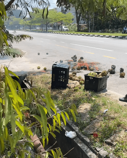 Durain on fire in middle of road (1)