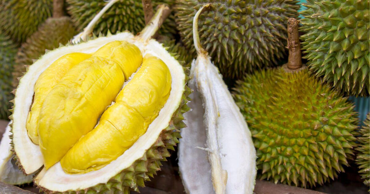 durian