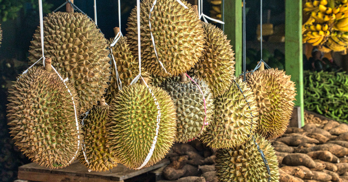 durian at market
