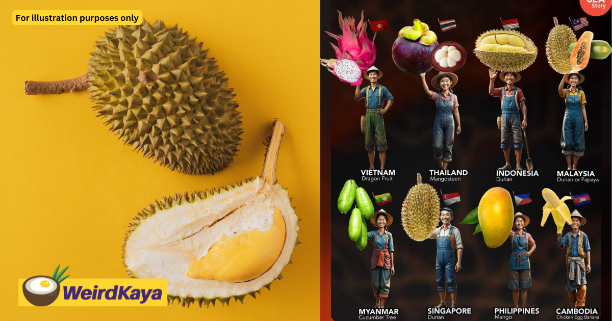 'did it grow on the roof? ' — m'sians mock poster which named durian as singapore's national fruit | weirdkaya