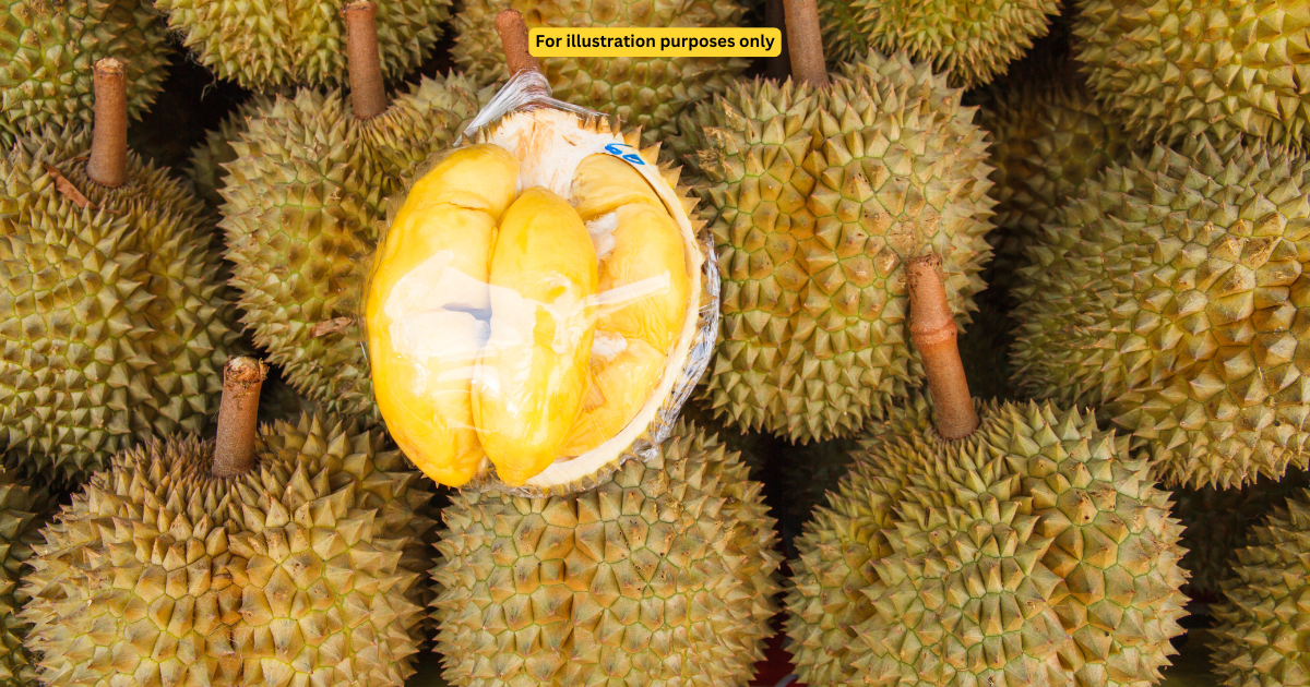 durians and with one durian open