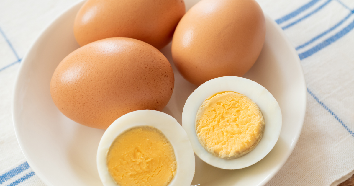 egg