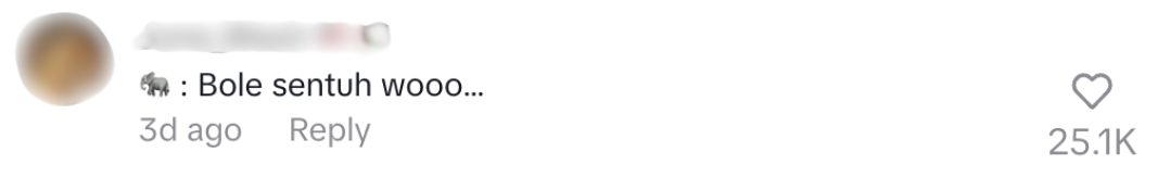 Elephant said can touch