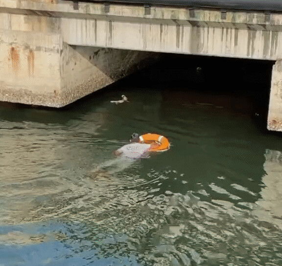 Brave Royal M'sian Navy Officers Jump Into The Sea To Save Drowning Puppy, Praised By Netizens