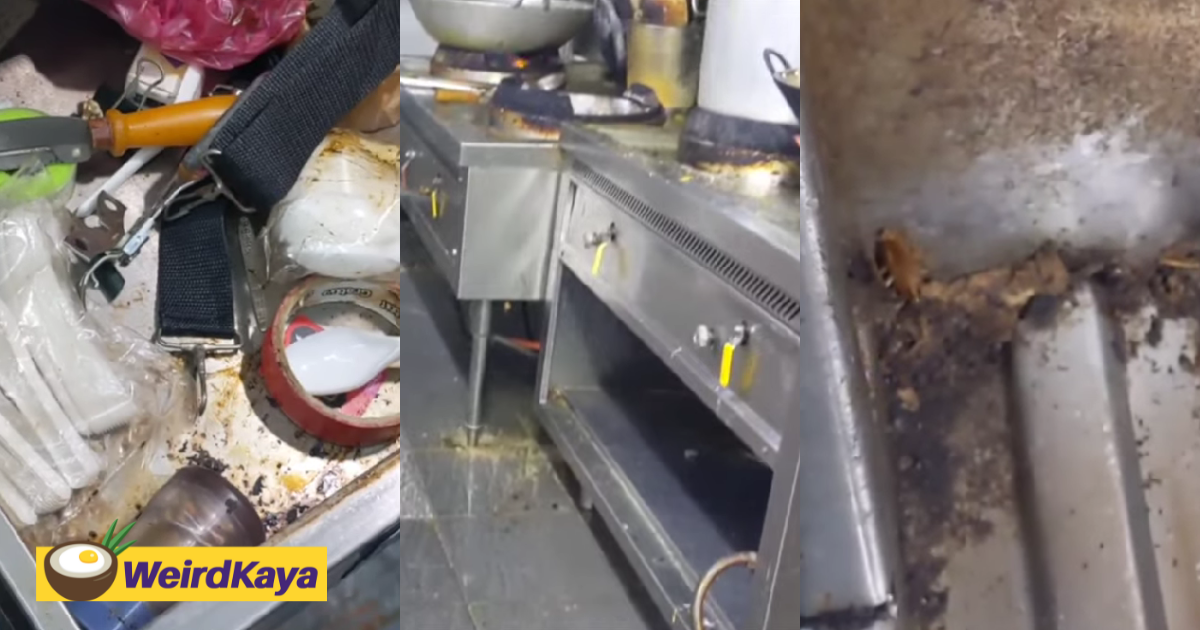 Famous penang nasi kandar restaurant shut down after cockroaches were found in vegetable storage | weirdkaya