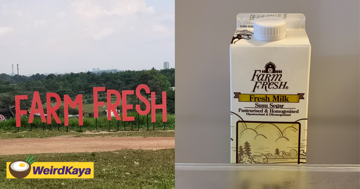 Farm fresh to increase product prices by 5% following weak q4 earnings report | weirdkaya