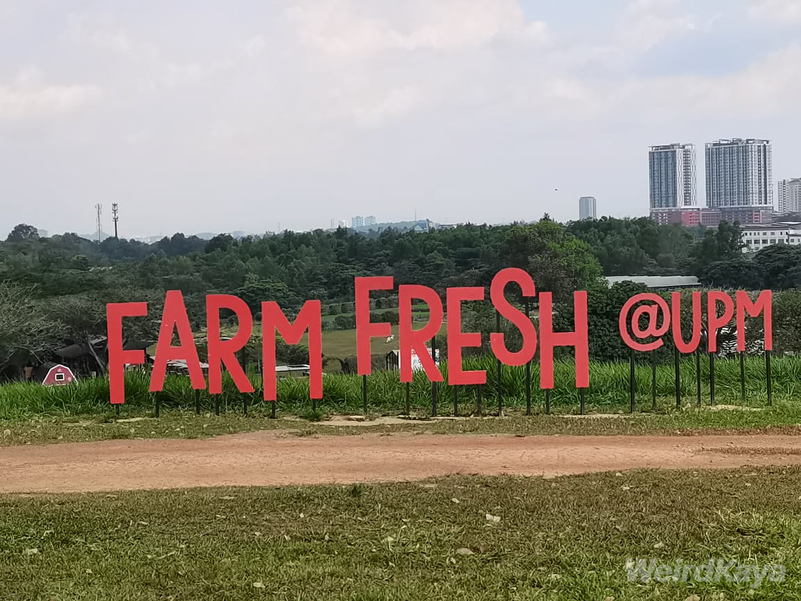 Farm fresh @ upm signboard