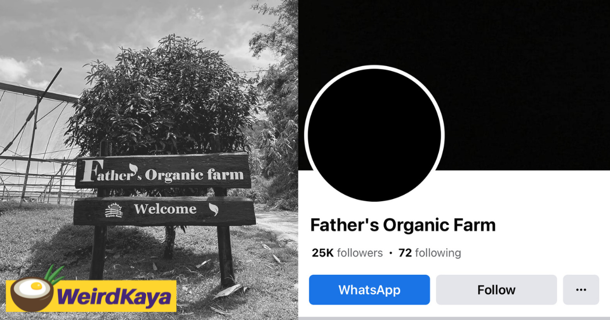 'our hearts are broken' - father's organic farm changes fb page to black, wishes survivors & injured to take care  | weirdkaya