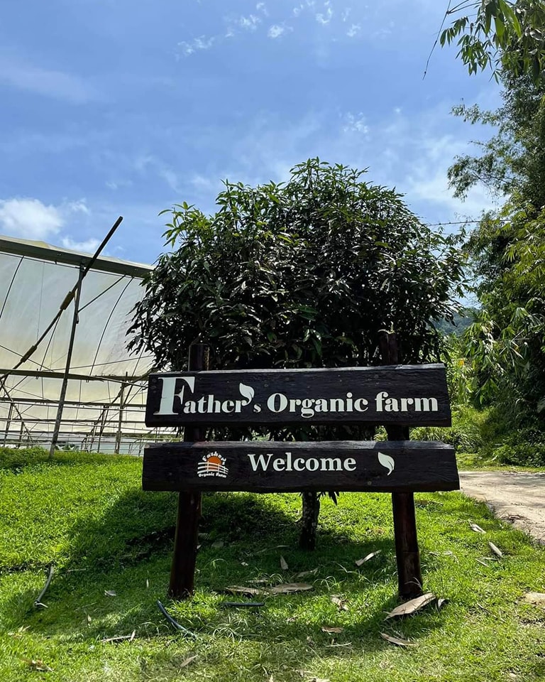 Father's organic farm