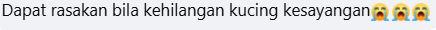 fb comment 2