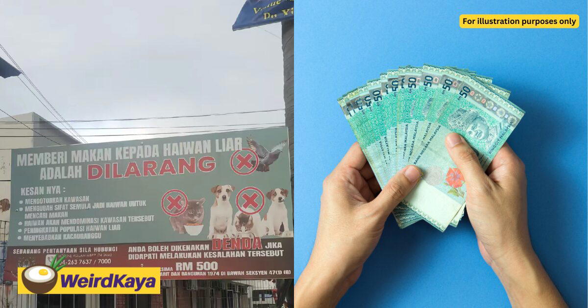 “Feeding Strays Is Wrong?!” - M’sians Split After Penang Signboard Bans Feeding Stray Animals | WeirdKaya