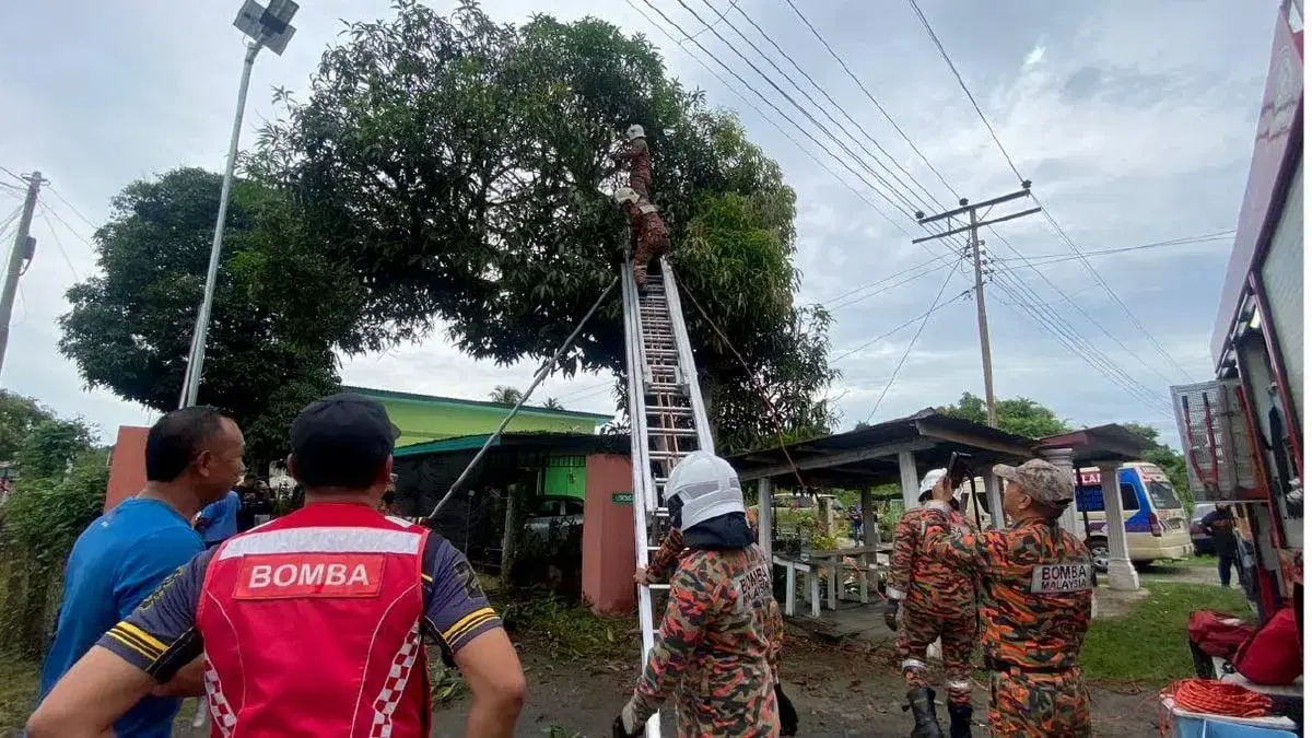 Firefighters retrieving body of man who died on mango tree in Sabah