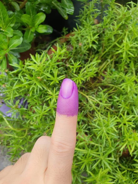 M'sian woman votes in #ge15 despite being pregnant & covid-positive
