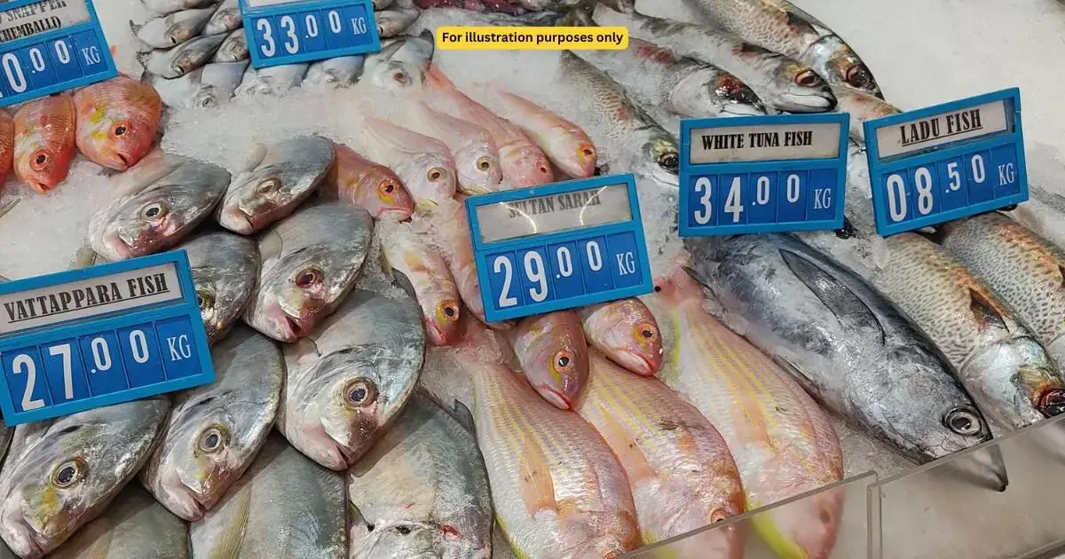 Fish in supermarket