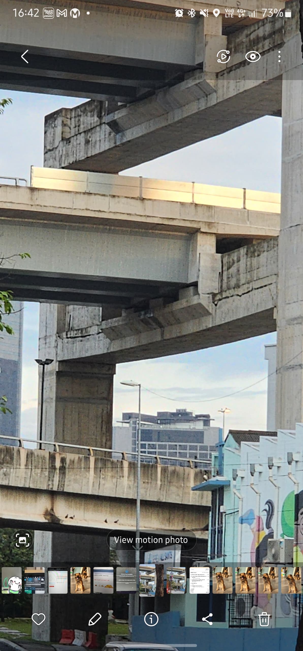 Flyover bridge in june