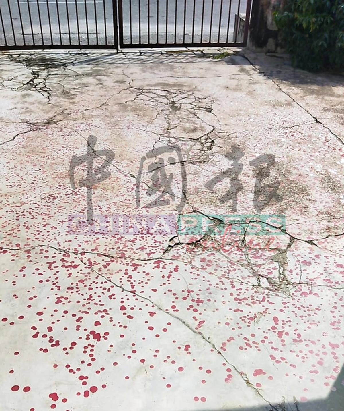 Foo retelling loan shark story (2)