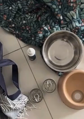 Food cans provided were not opened