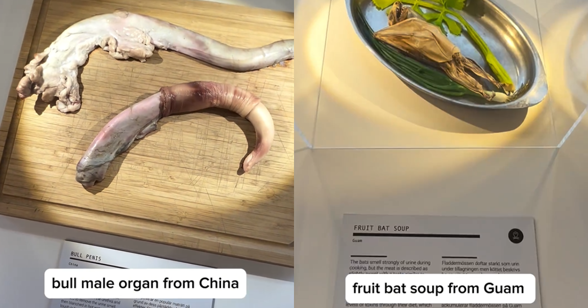 Foods shown at disgusting food museum