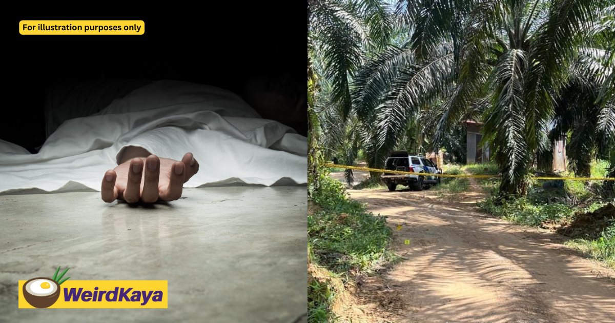 Foreign man found dead with multiple gunshot wounds at sarawak palm oil estate | weirdkaya