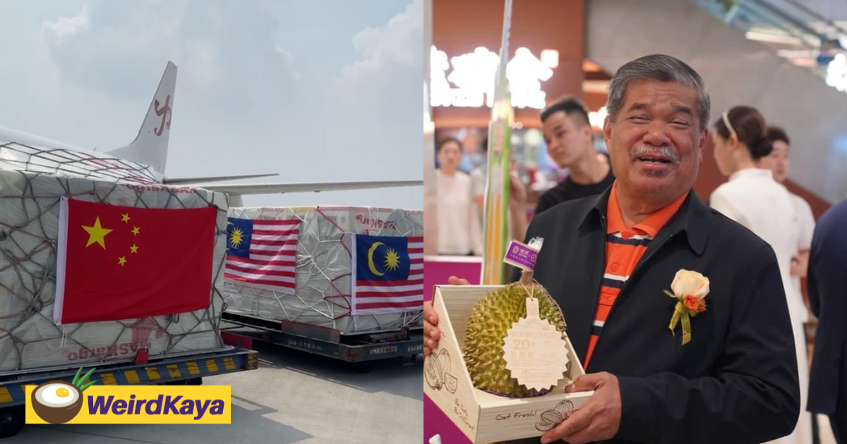 Fresh Durians Exported From M'sia Sold Out In China Within Hours, Priced As High As RM350 Each