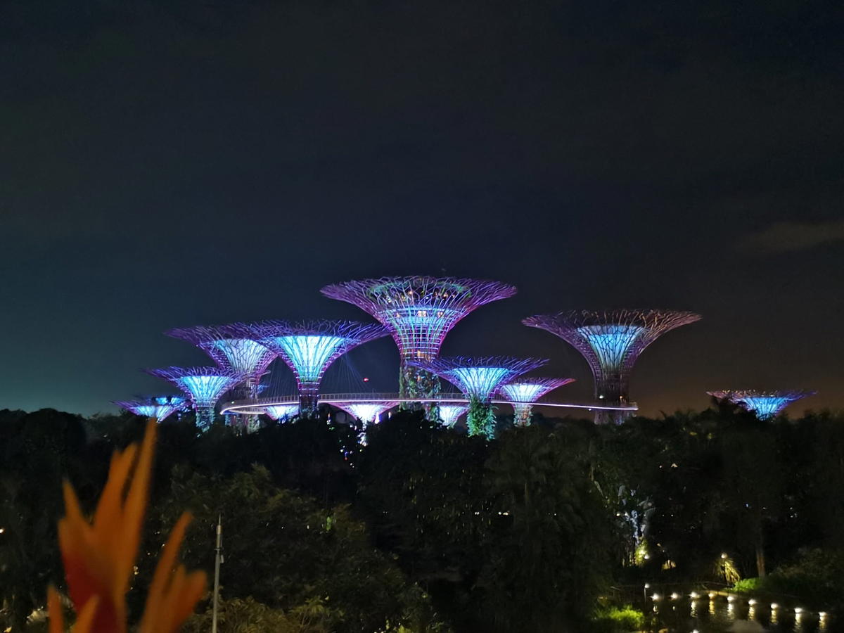 6 culture shocks i experienced while strolling around singapore | weirdkaya