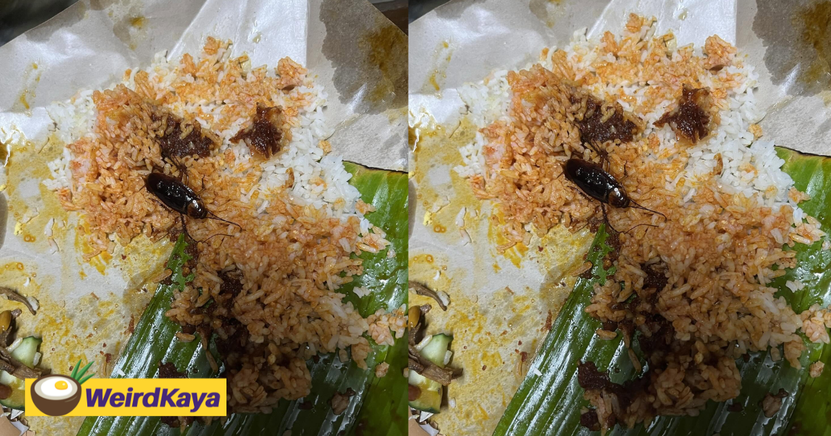 M'sian Woman Shocked To Find Giant Cockroach Inside Nasi Lemak Bought From Roadside Stall | WeirdKaya