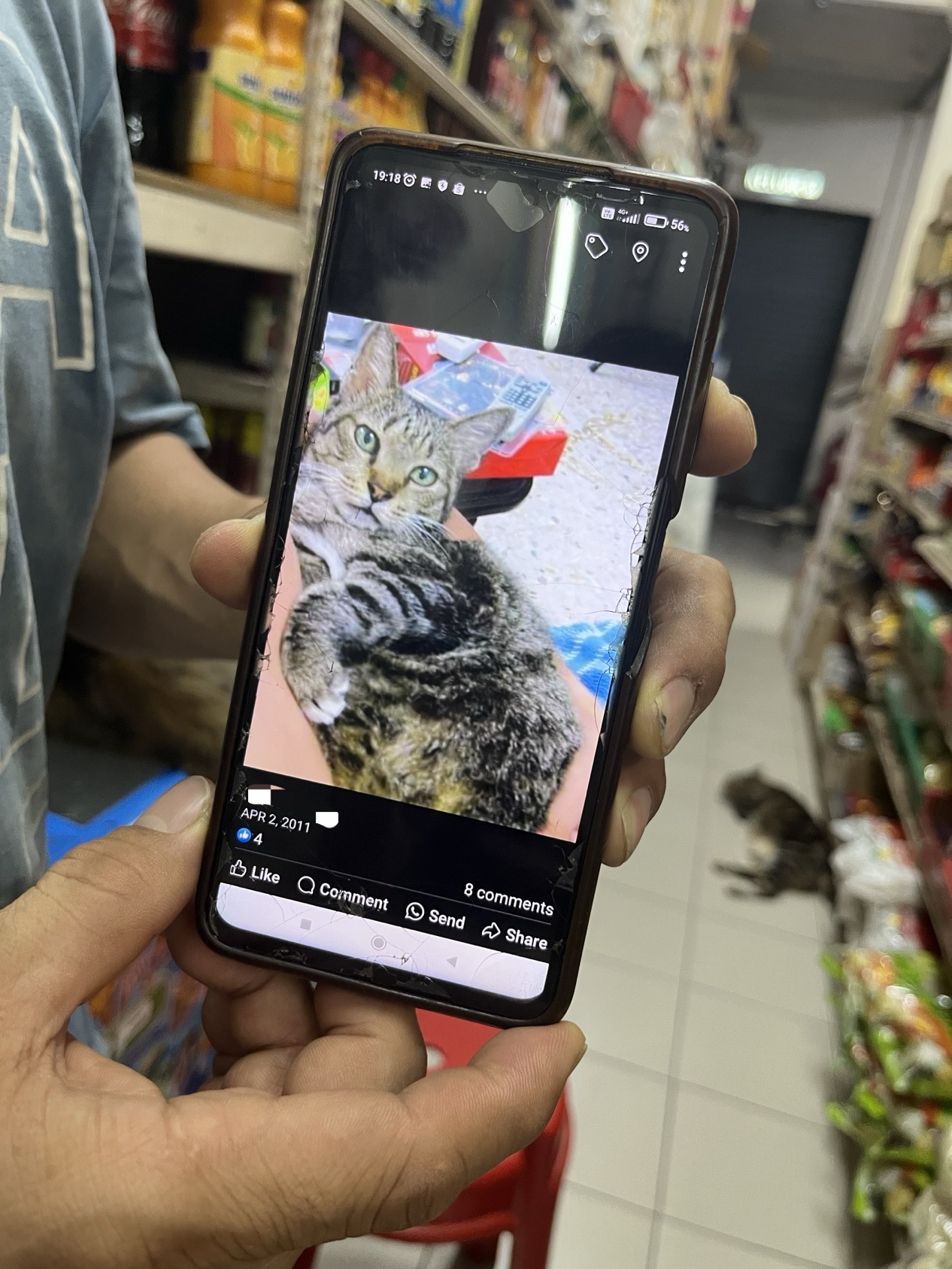 Goh showing a photo of meowmi
