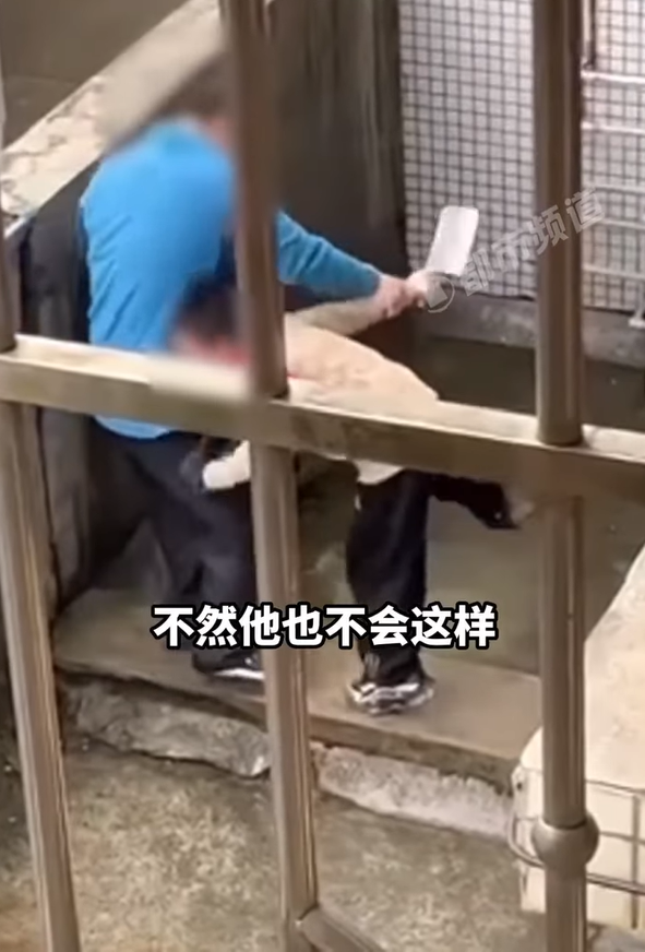 Boy in china threatens dad with meat cleaver after getting his phone confiscated