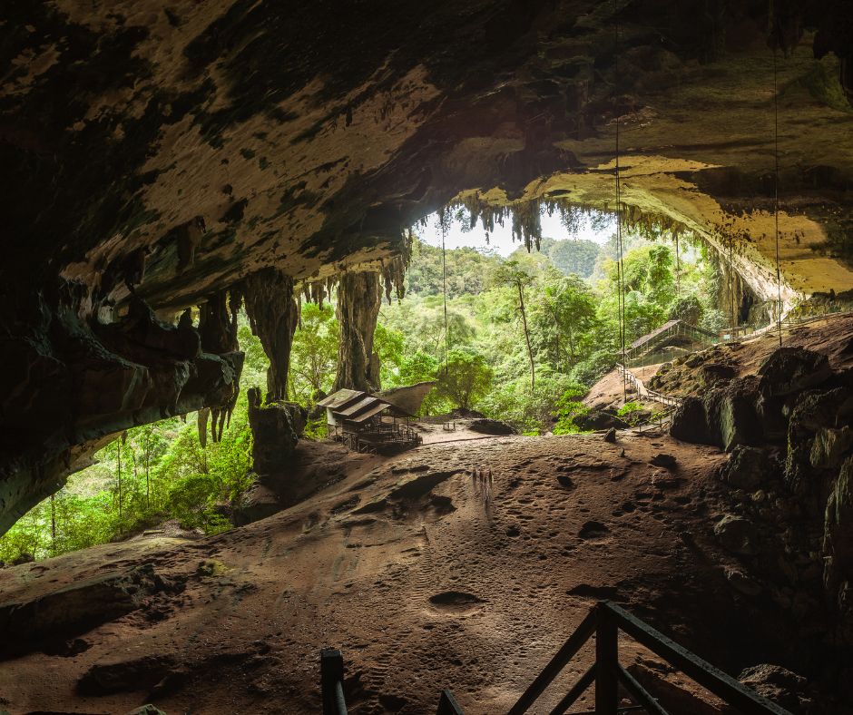 Gua niah sarawak