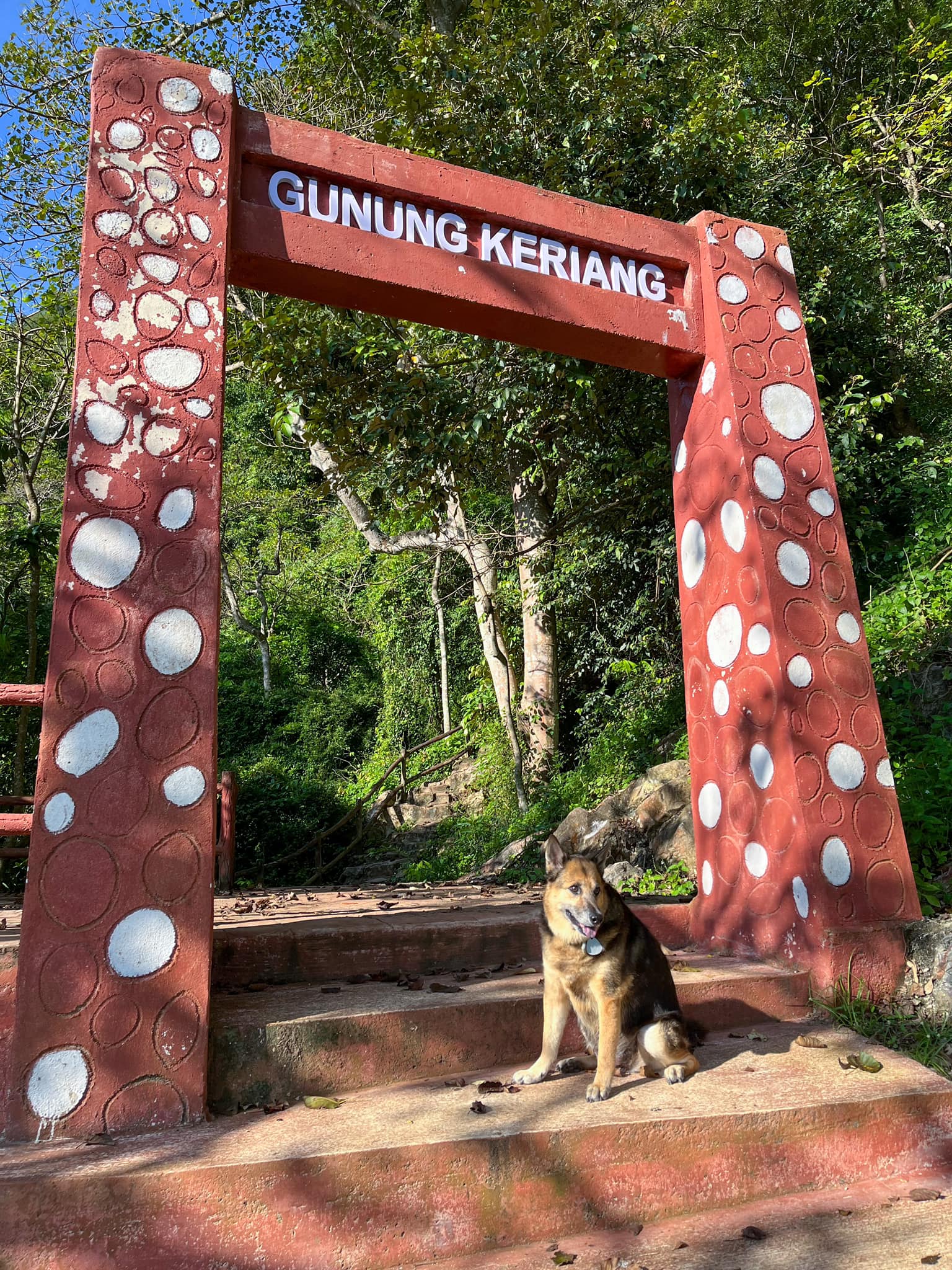 Gunung keriang with her dog bobby