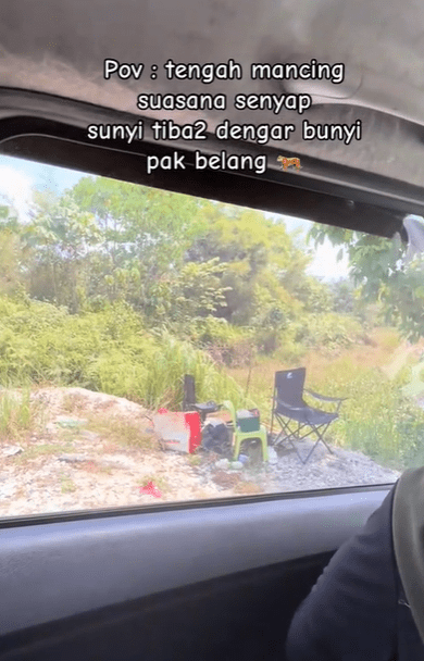 Hide in car during picnic after tiger roar (2)