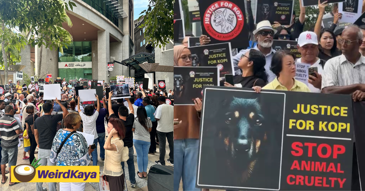 Hundreds of m'sians gather at #justiceforkopi rally to demand accountability from authorities | weirdkaya