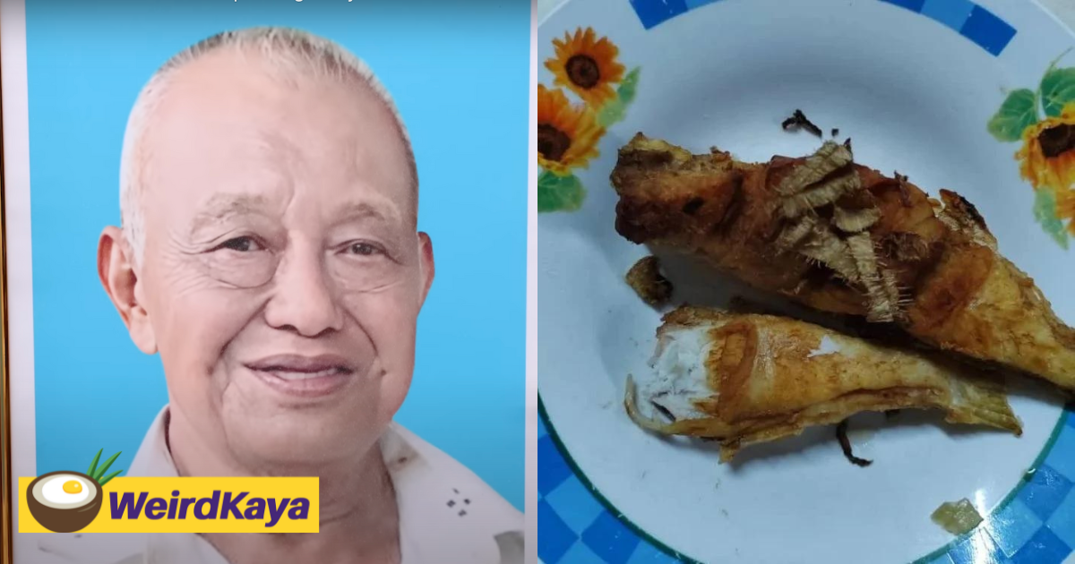 Husband of johor woman who died after eating pufferfish also passes away two weeks after | weirdkaya