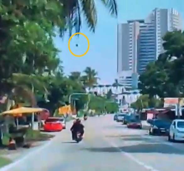 [video] coconut falls from tree and knocks female passenger off motorbike | weirdkaya