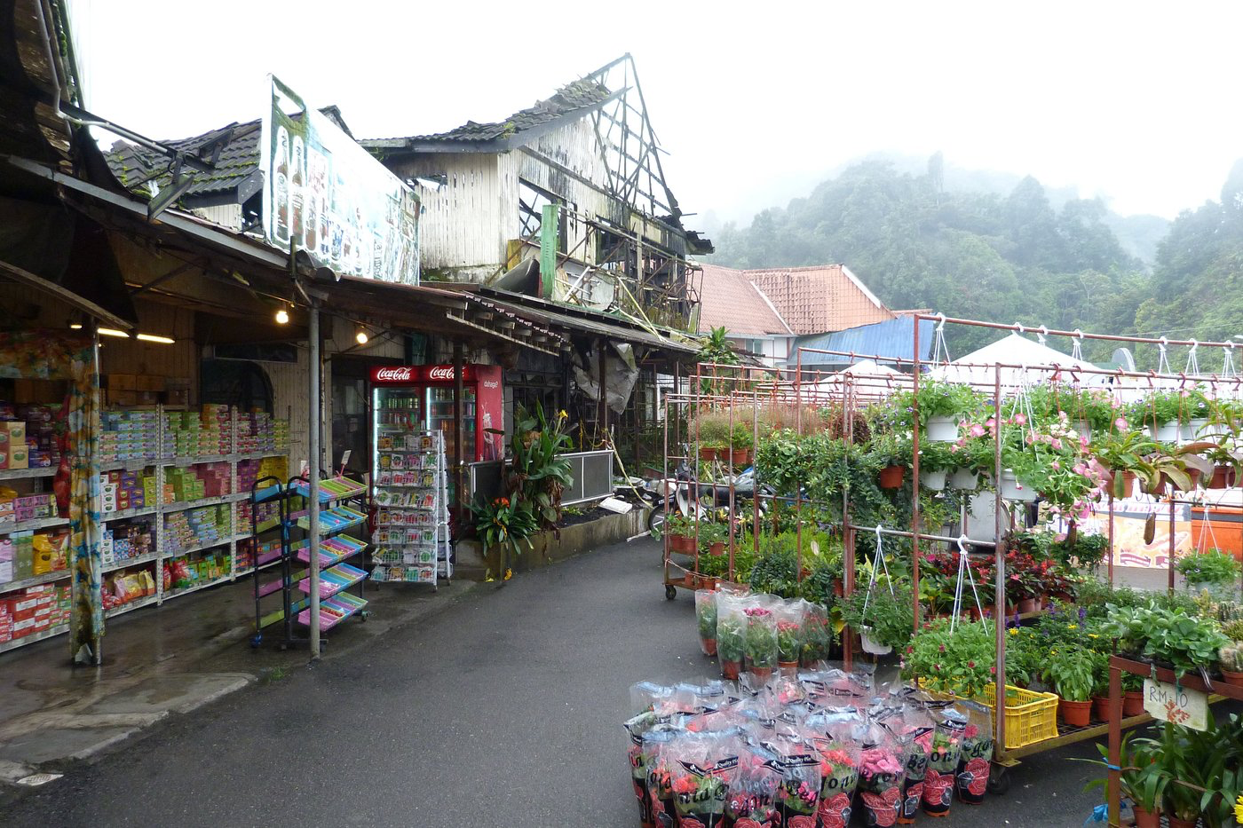 This idyllic location at cameron highlands offers an idyllic experience at rm300+ for 3d2n | weirdkaya