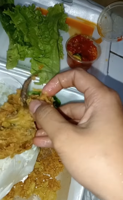 [video] oh drats! Woman finds fried tail resembling that of a rat's inside meal | weirdkaya