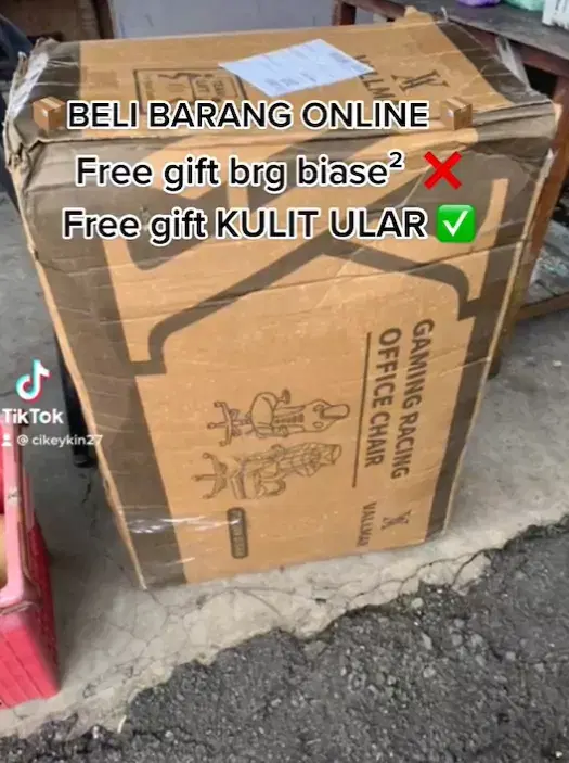 [video] woman finds “free gift” in the form of snake skin inside delivery parcel | weirdkaya