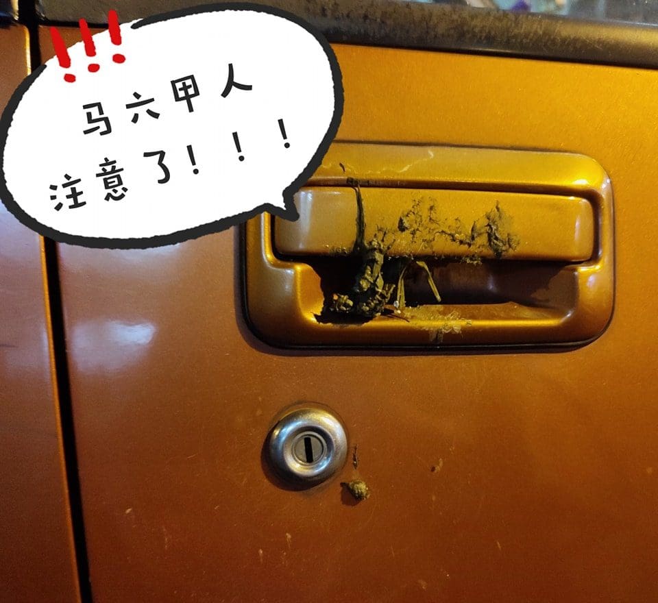 poop on car handle