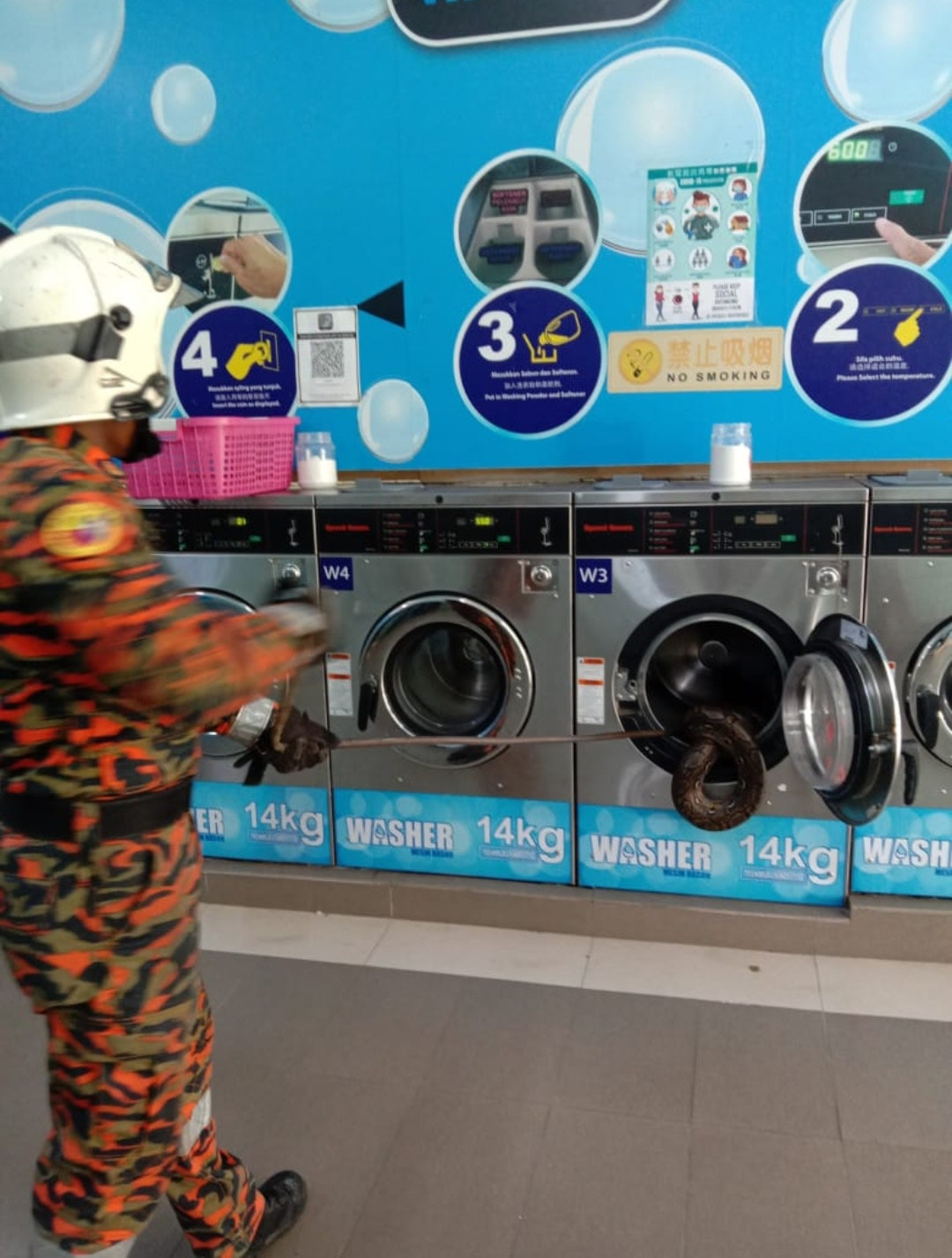 20kg python found in a washing machine at a laundromat in johor