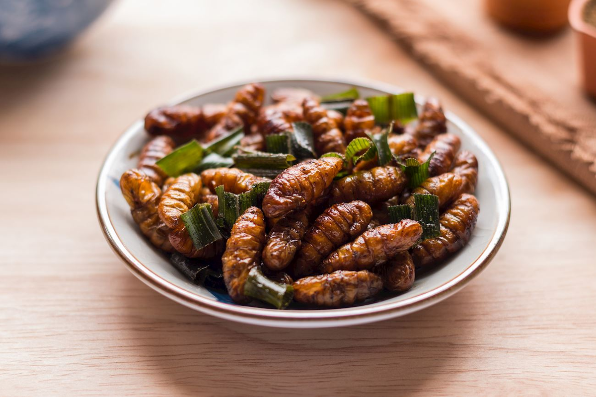 Edible insects