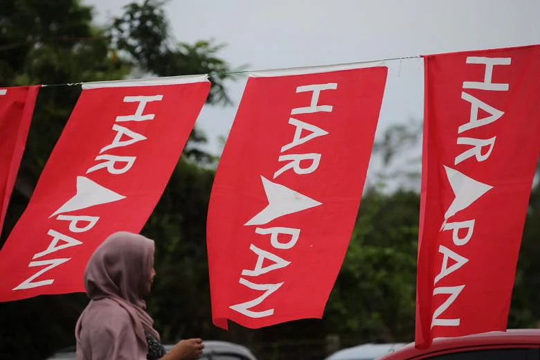 Woman looking at ph flags