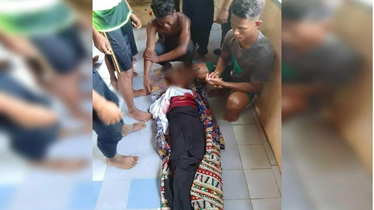 15yo Orang Asli Teen Trampled To Death By Elephant At Durian Orchard In Pahang