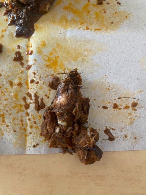 rat's head inside nasi kukus