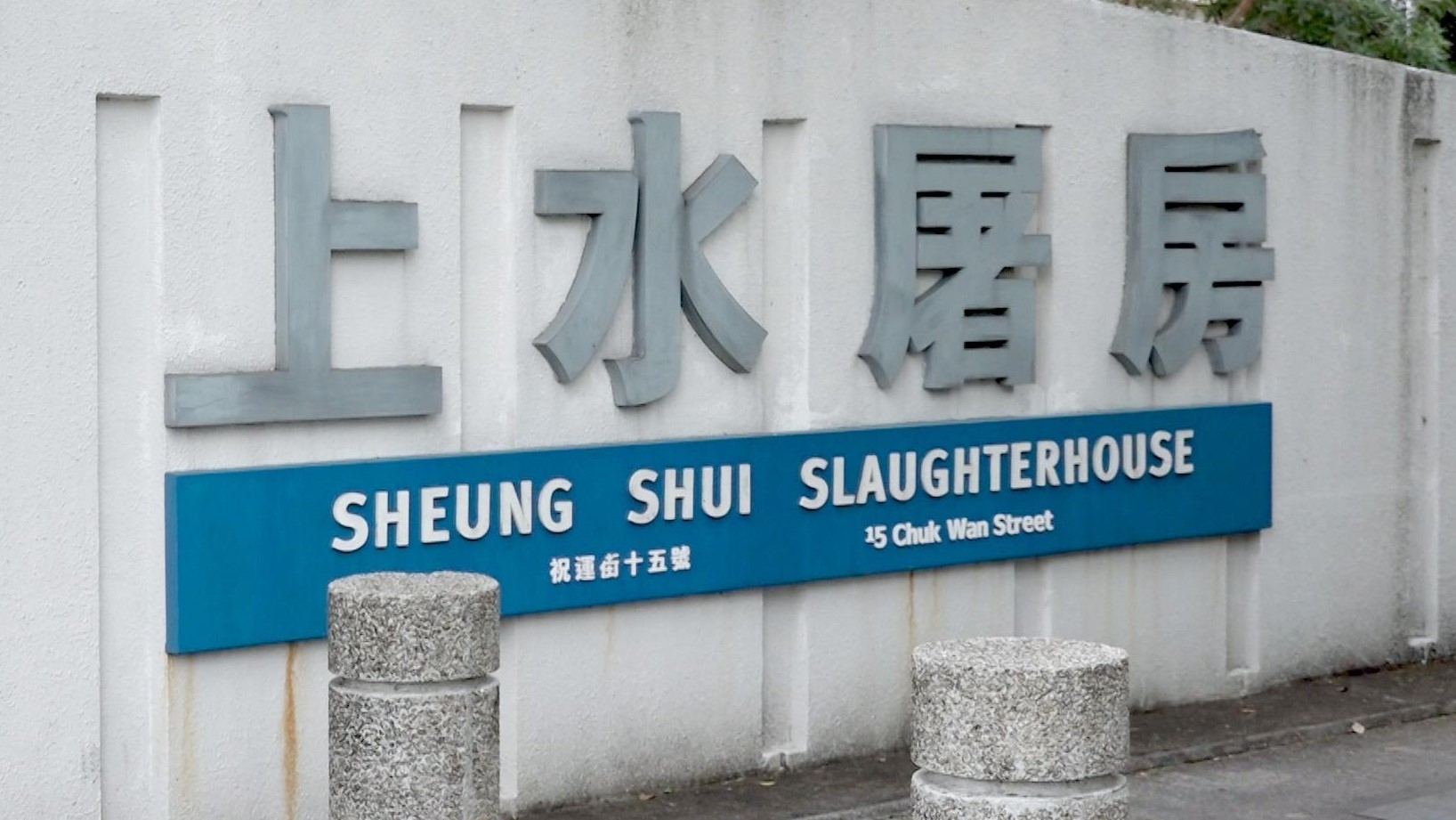 Sheung shui slaughterhouse