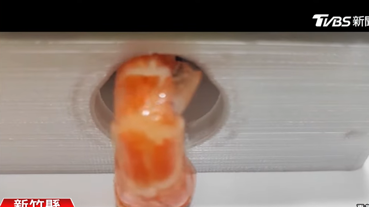 Primary school students in taiwan invent device that removes prawn shells & innards so you don't have to | weirdkaya