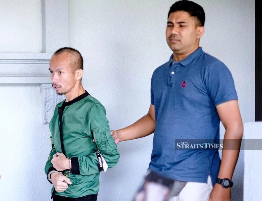 Sarawakian Man Sentenced To 2 Years In Jail And Fined RM50k For Starving Cats To Death